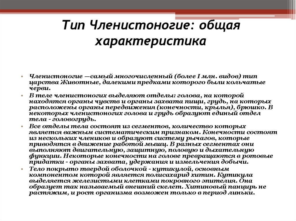 Членистоногие общая характеристика. Общая характеристика членистоногих. Тип Членистоногие общая характеристика типа. Членистоногие характеристика характеристика.