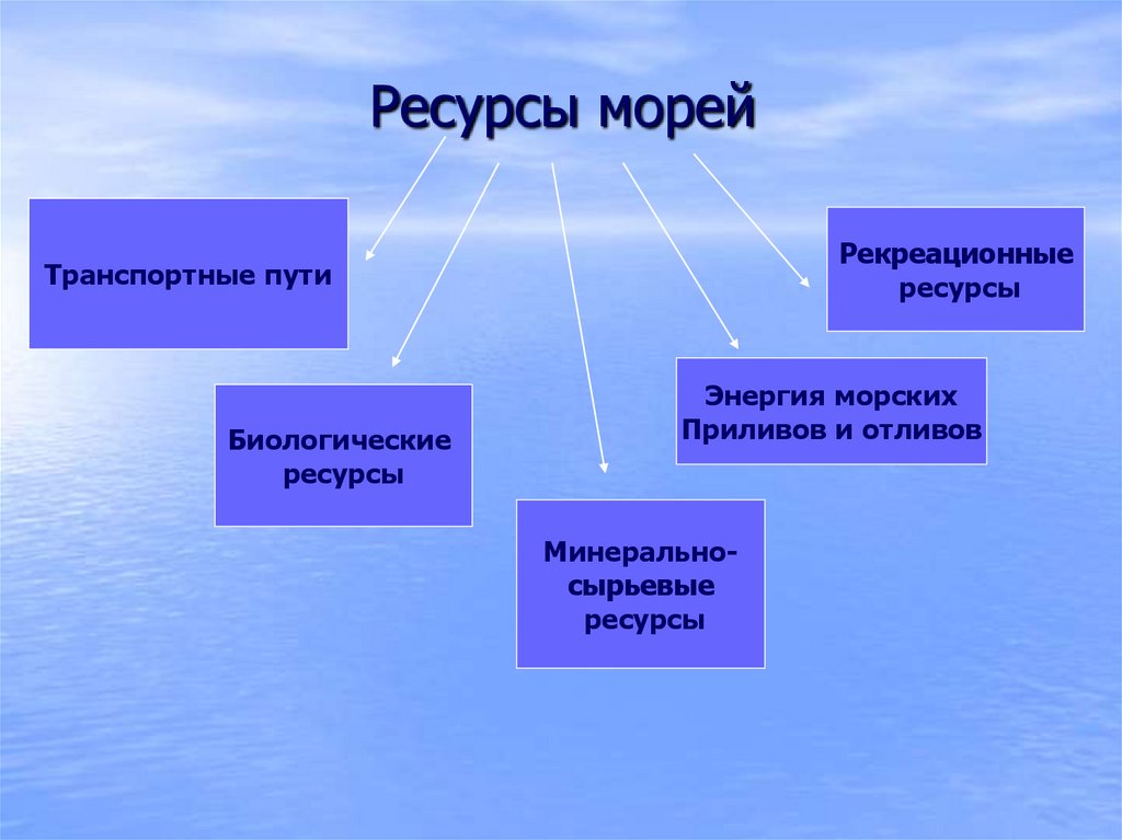 Наши моря презентация 8 класс география полярная звезда