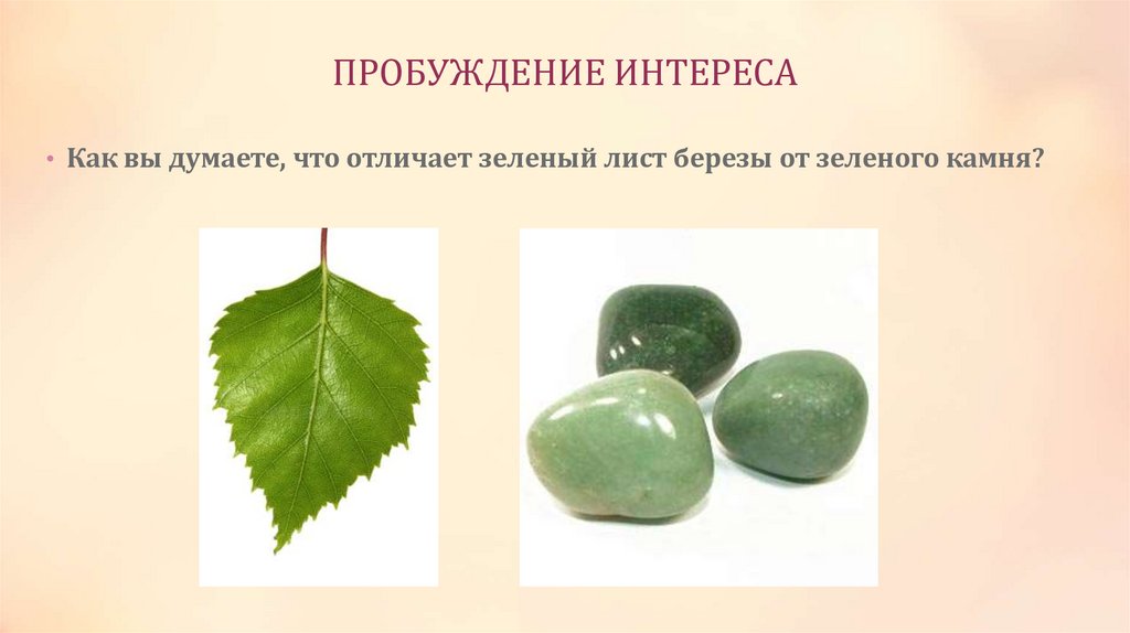 ПРОБУЖДЕНИЕ ИНТЕРЕСА