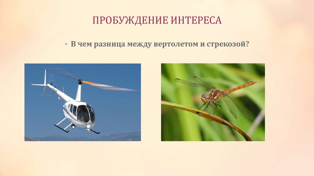 ПРОБУЖДЕНИЕ ИНТЕРЕСА