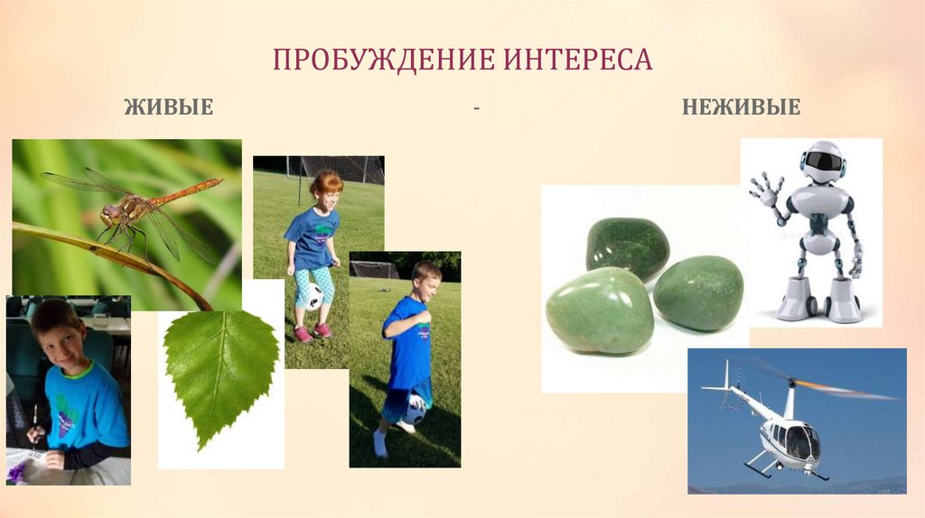 ПРОБУЖДЕНИЕ ИНТЕРЕСА