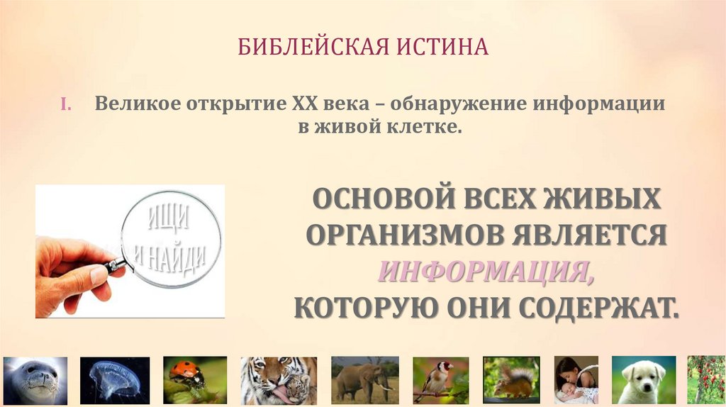 БИБЛЕЙСКАЯ ИСТИНА