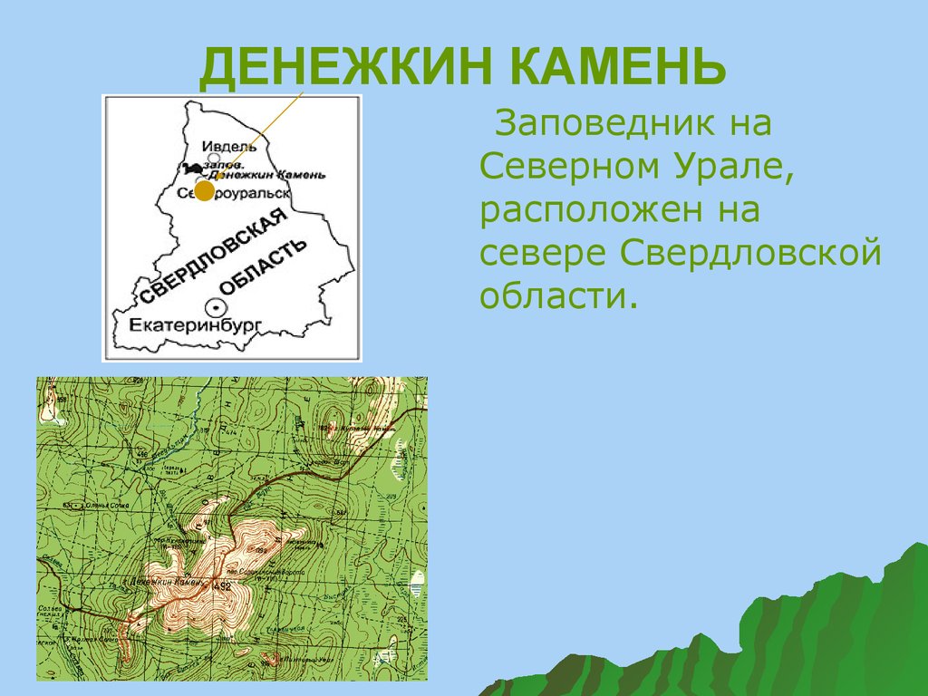 Какой заповедник расположен. Заповедник Денежкин камень Свердловской области. Государственный природный заповедник 