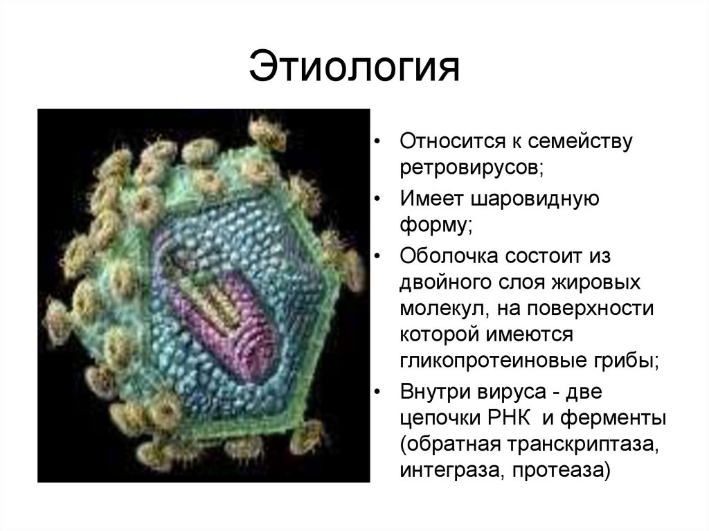 Вирус иммунодефицита семейство. Ротавирус строение вируса. ВИЧ относится к семейству ретровирусов. Вирус ВИЧ относится к семейству. Строение вируса ВИЧ.