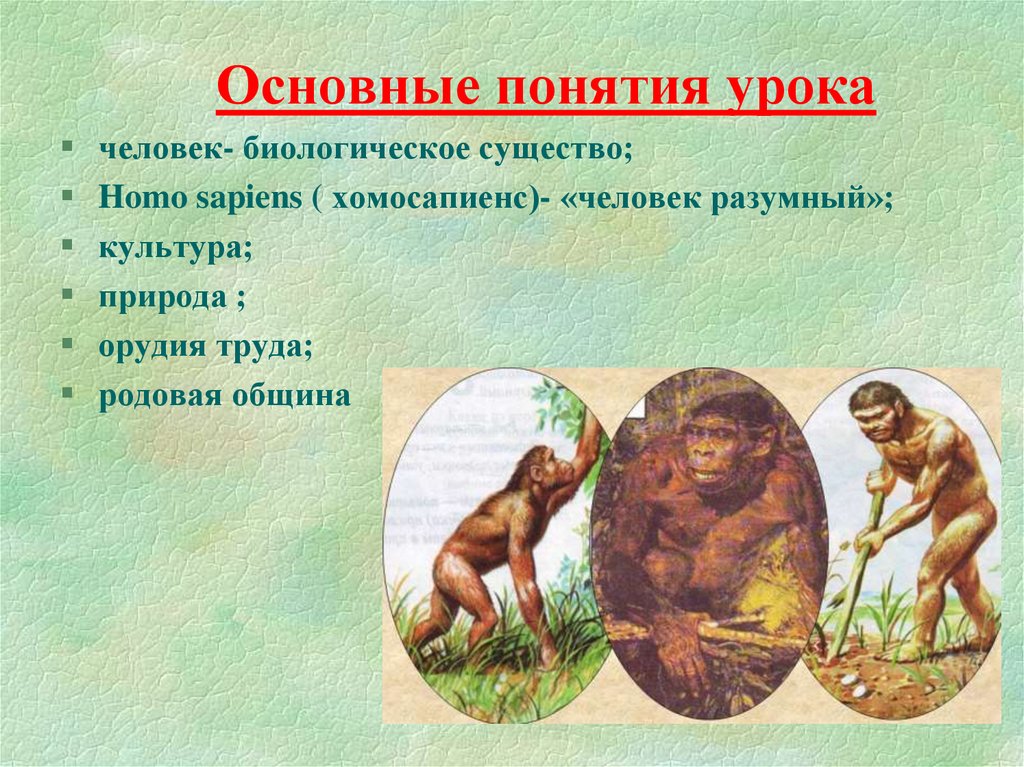 Программа homo sapiens. Человек разумный занятия. Основные занятия человека разумного. Homo sapiens (разумный) концепция. Homo sapiens основная идея.