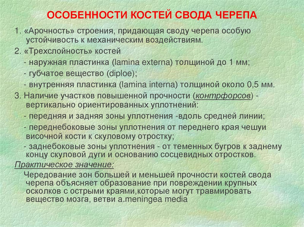 Особенности костей. Арочность строения свода черепа. Трехслойность свода черепа. Наружная пластинка костей свода черепа это. Принцип трехслойности.