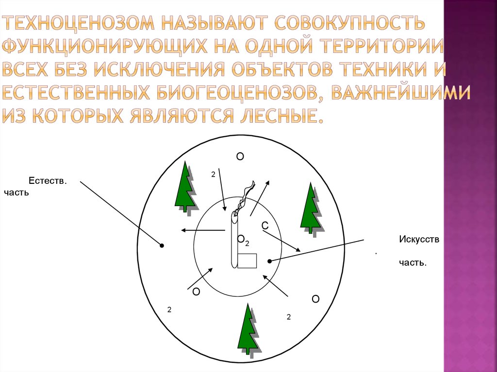 Совокупность предметов 1