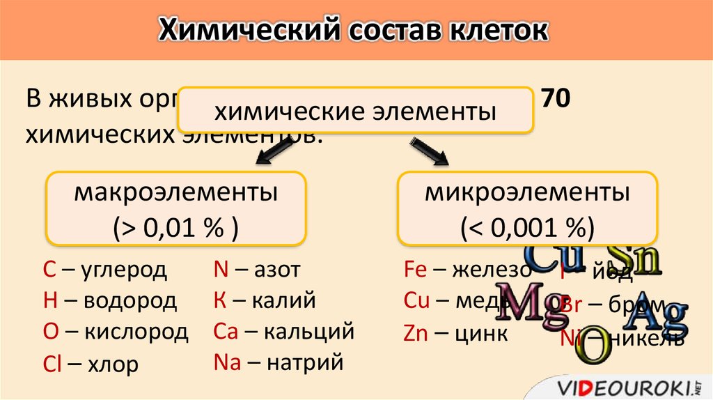 Состав и строение его