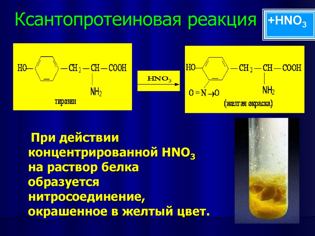 Белок концентрированная азотная кислота. Ксантопротеиновая реакция уравнение реакции. Ксантопротеиновая реакция альбумин. Ксантопротеиновая реакция формула реакции. Цветные реакции на белки ксантопротеиновая реакция.