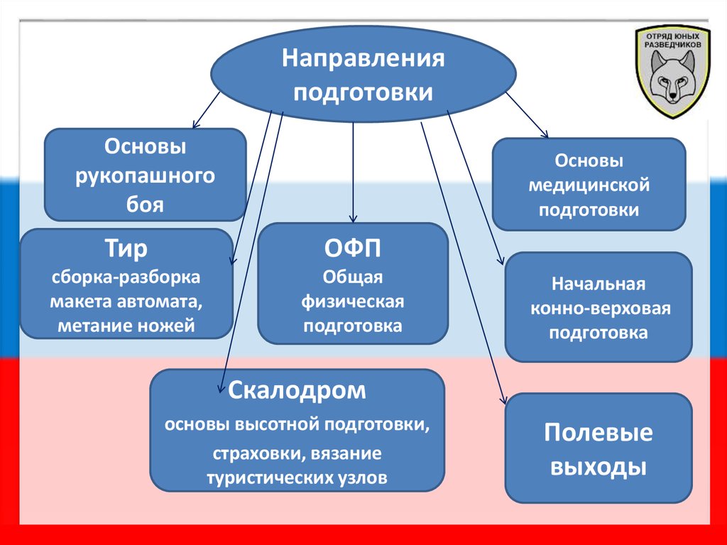 Направления деятельности отрядов