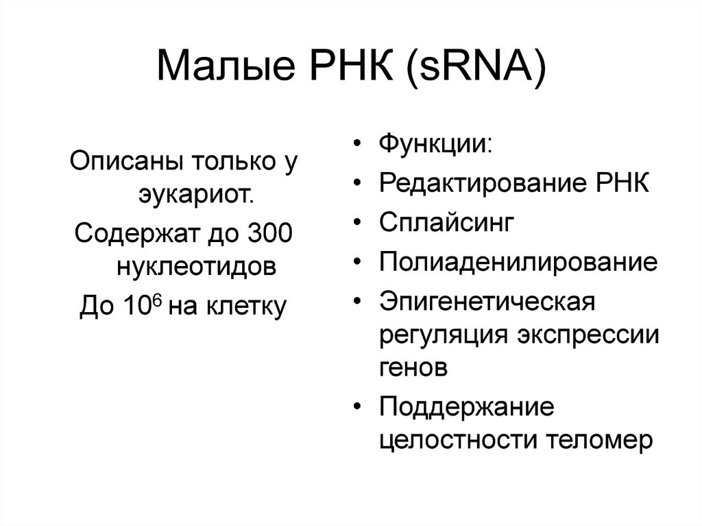 Малые рнк. Редактирование РНК. Функции РНК.