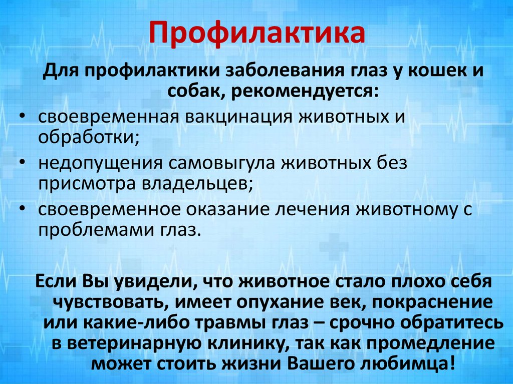 Профилактика