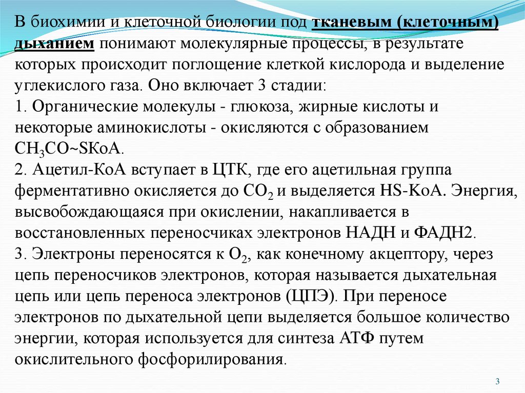 Биохимическое окисление. Этапы биологического окисления биохимия. Тканевое дыхание биохимия этапы. Биологическое окисление биохимия. Компартментализация это биохимия.