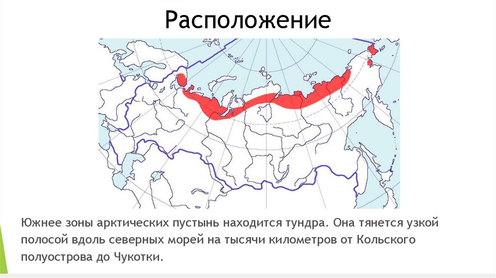 Где расположена зона арктических пустынь