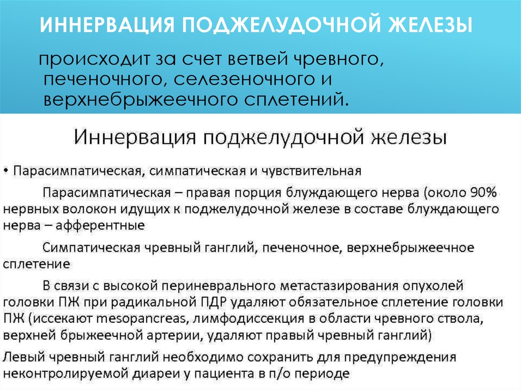 Иннервация поджелудочной железы. Поджелудочная железа Иннер. Поджелудочная железа кровоснабжение и иннервация. Иннервация поджелудочной железы анатомия.