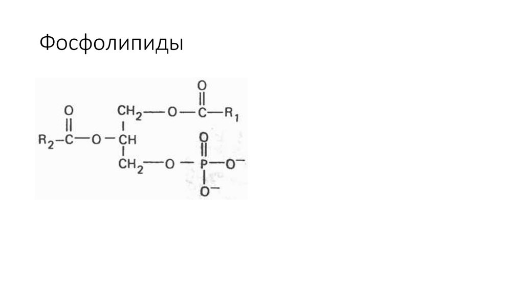 Фосфолипиды. Фосфолипид формула. Формулы фосфолипидов биохимия. Структурная формула фосфолипидов. Структурная формула фосфолипида.