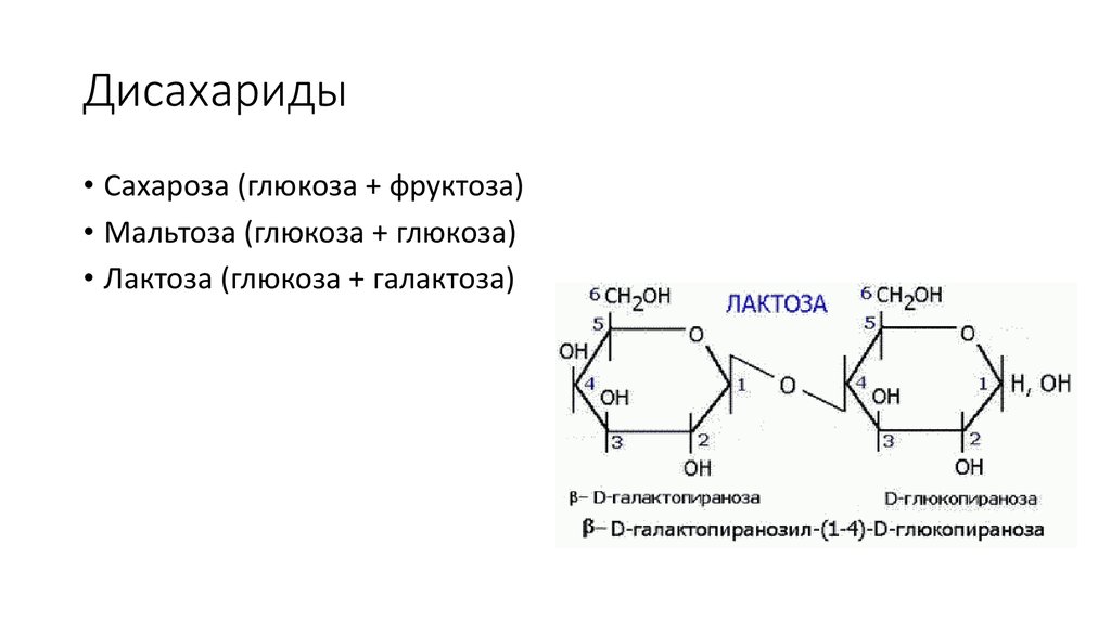 Алхимия сахароза. Дисахариды мальтоза лактоза сахароза. Глюкоза, сахароза, лактоза и мальтоза. Мутаротация дисахаридов. Дисахарид из фруктозы.
