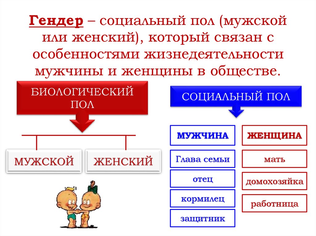 Презентация гендер социальный пол 11 класс