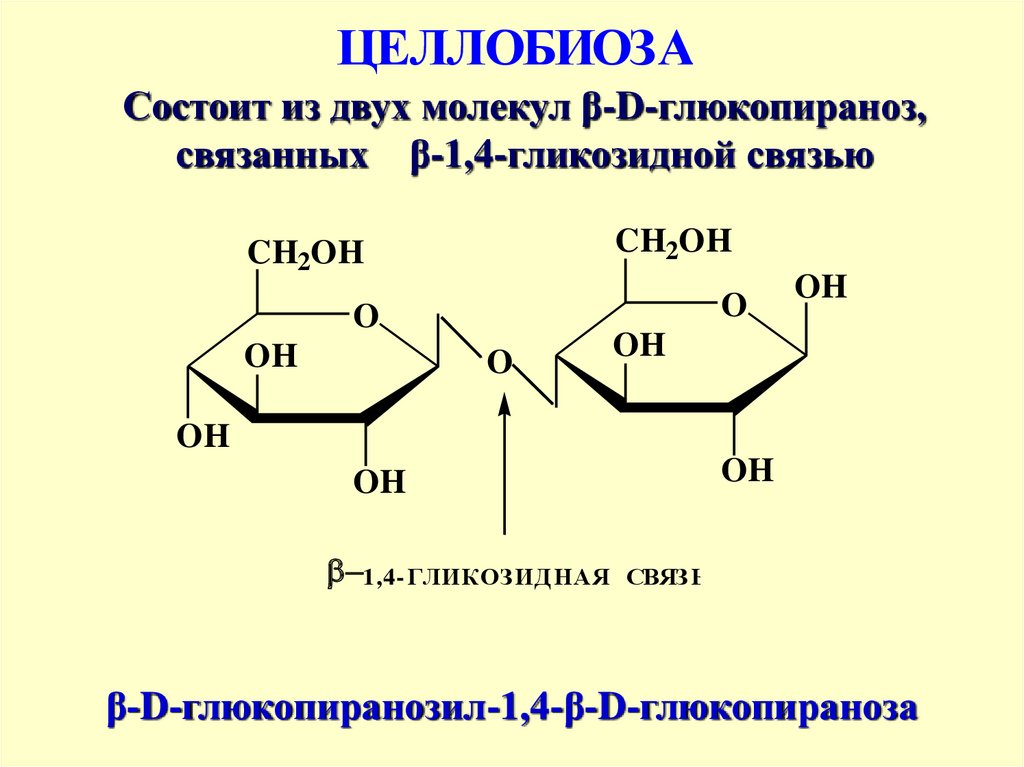 Ферменты дисахариды. Эпимеризация дисахаридов. Алкилирование дисахаридов. Метилирование дисахаридов. Сахароза невосстанавливающий дисахарид.