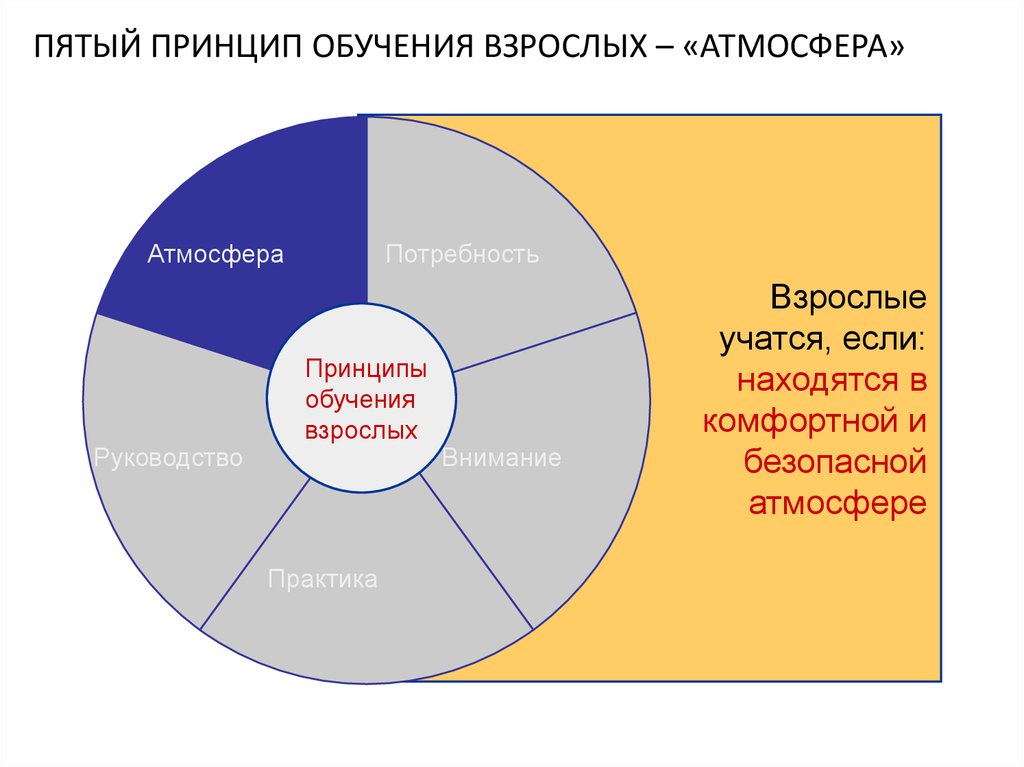 Принципы обучения взрослых людей