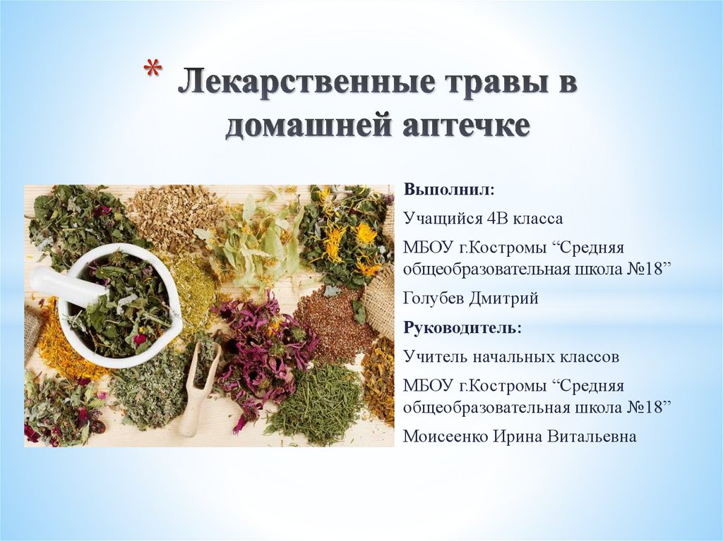 Лекарственные травы в домашней аптечке - презентация онлайн