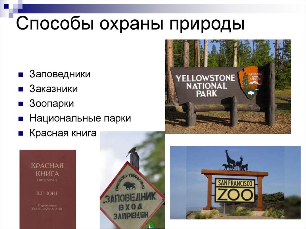 Чем отличается национальный парк от заповедника. Способы защиты природы. Методы и способы охраны природы. Охрана природы заповедники. Способы охраны среды.