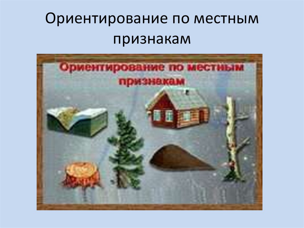 Ориентирование на местности по местным признакам презентация