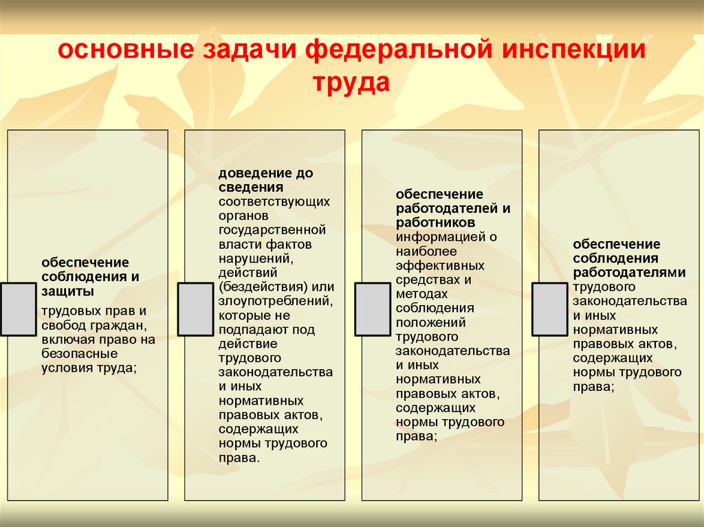 Задачи федеральной. Функции и задачи Федеральной инспекции труда. Задачи Федеральной инспекции труда. Принципы Федеральной инспекции труда. Каковы основные задачи Федеральной инспекции труда?.