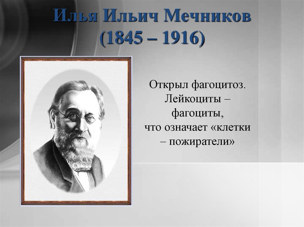 Презентация значение трудов мечникова