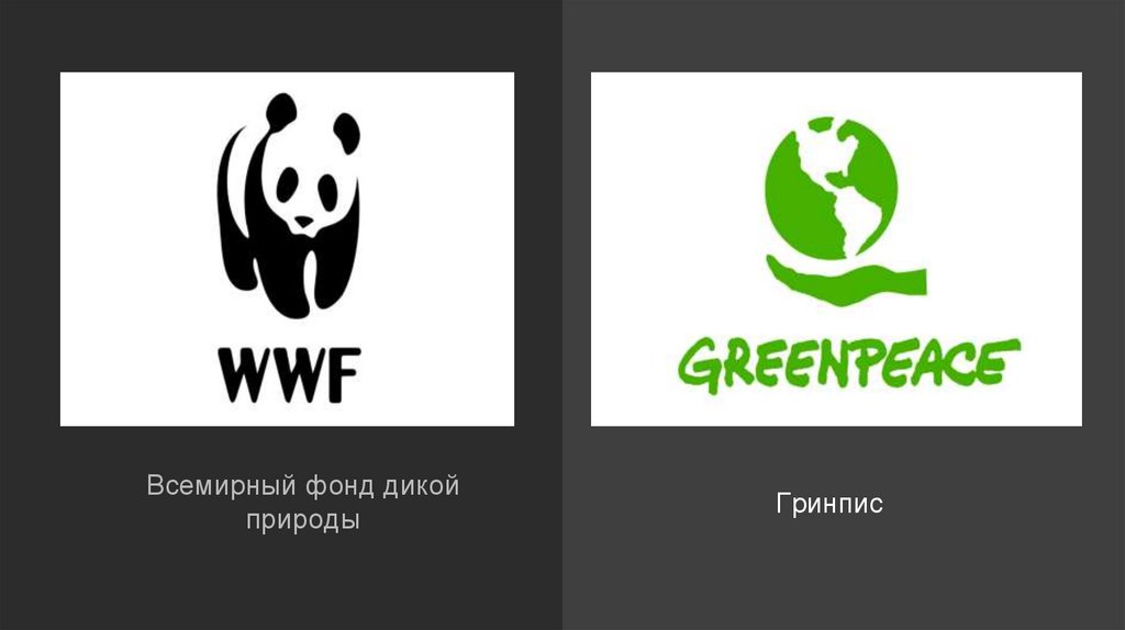 Wwf всемирный фонд дикой природы презентация