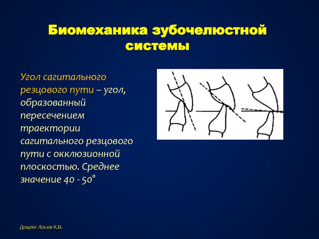 Биомеханика в ортодонтии презентация