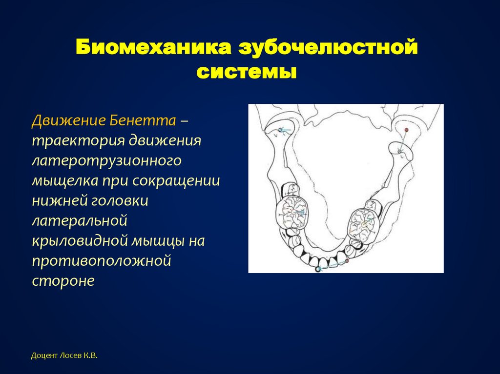 Основы клинической гнатологии биомеханика зубочелюстно лицевой системы презентация