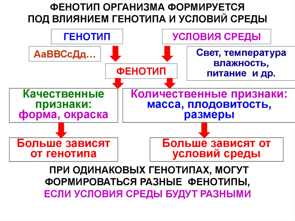 Изменение генотипа