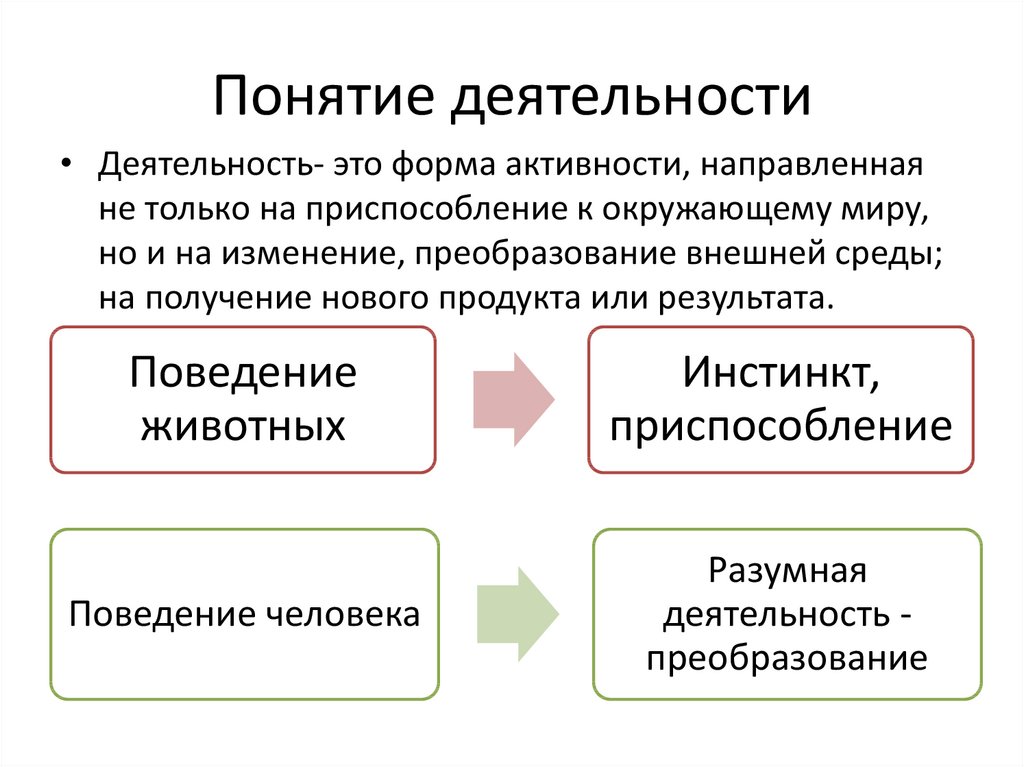 Дайте понятие деятельности