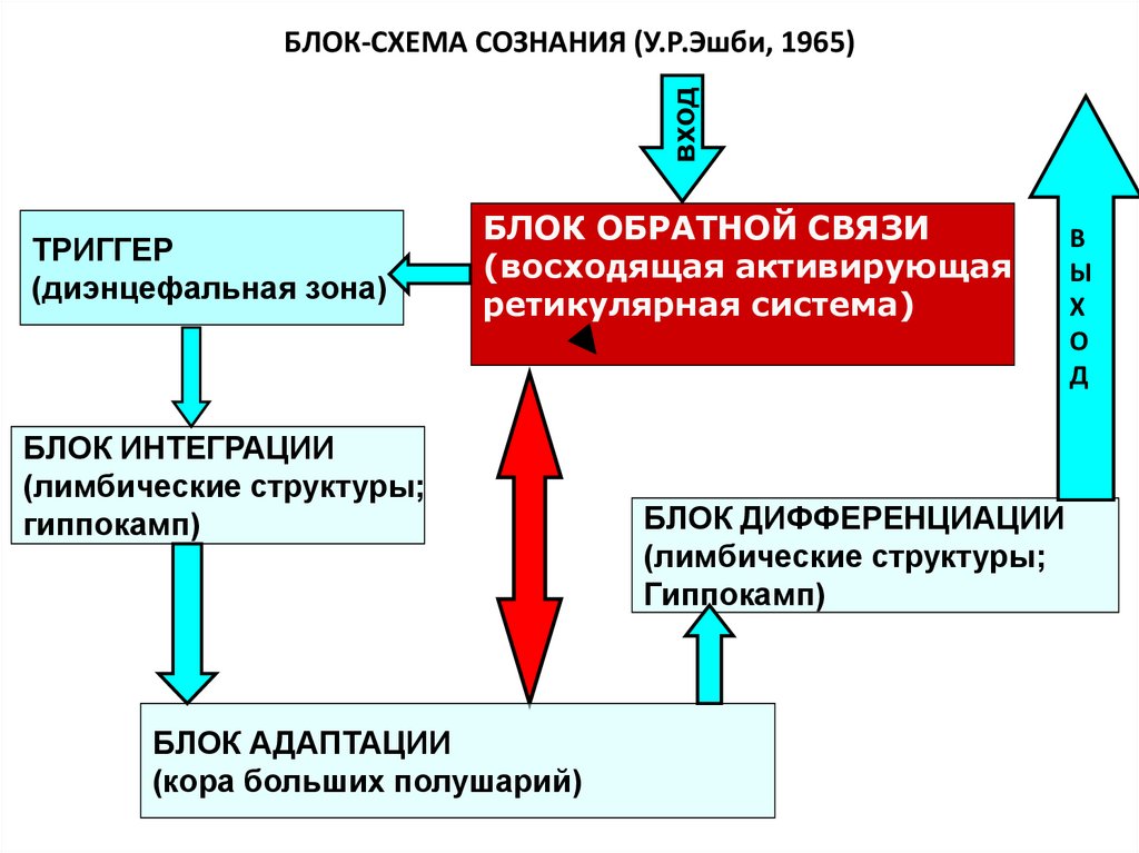 Система александера универсальная схема сознательного контроля человеком собственного поведения