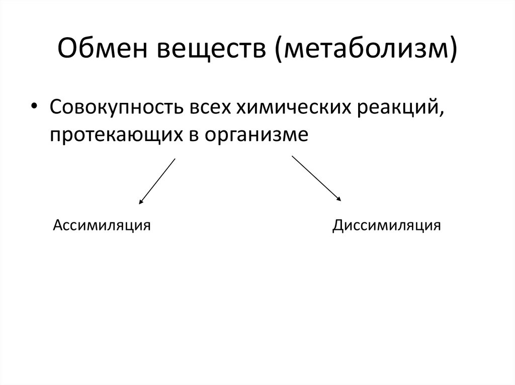 Болезни обмена веществ эндокринной системы