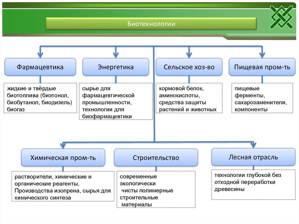Методы биотехнологии. Направления биотехнологии схема. Биотехнология примеры. Биотехнология схема. Биотехнология таблица.