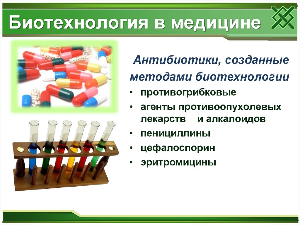 Презентация по биологии 10 класс биотехнология достижения и перспективы развития