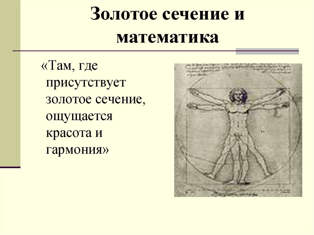 Золотое сечение онлайн. Золотое сечение 1:8. Лабиринт золотое сечение. Алгебра гармонии.