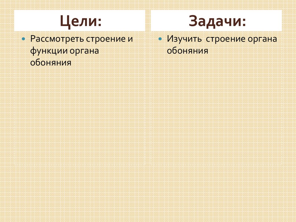 Строение и функции органа обоняния - презентация онлайн
