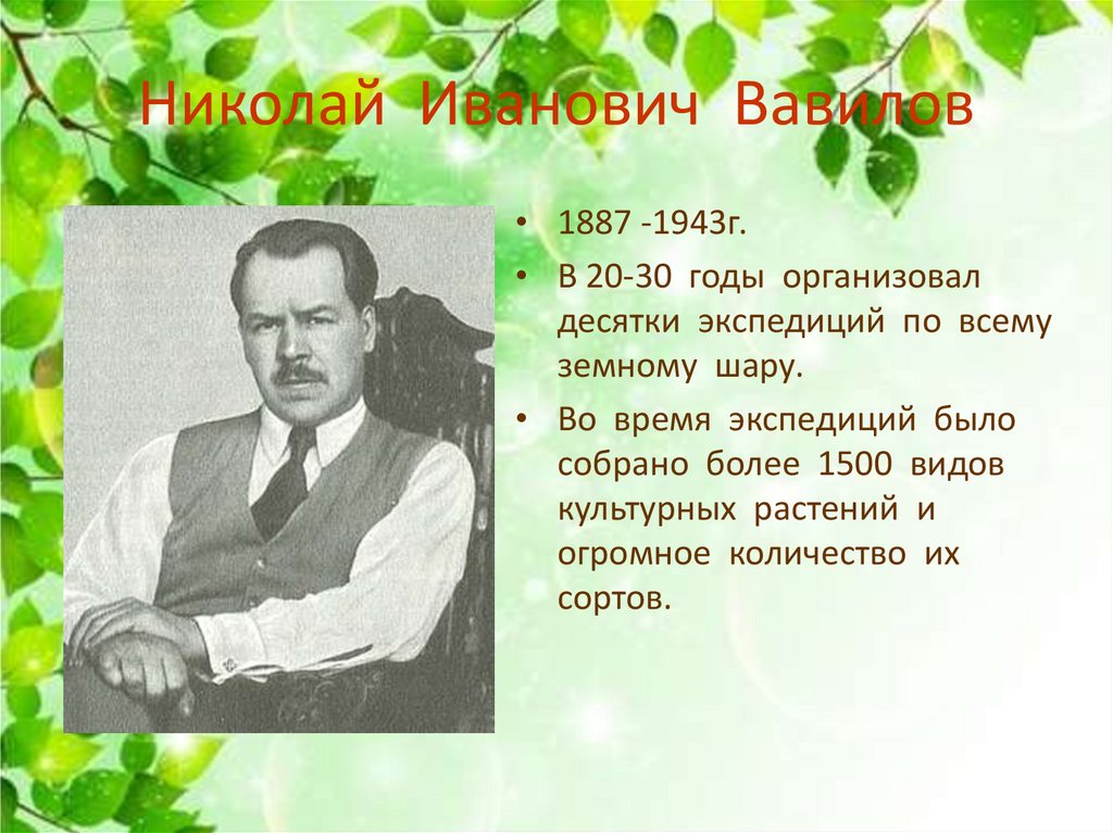 Селекция презентация вавилов