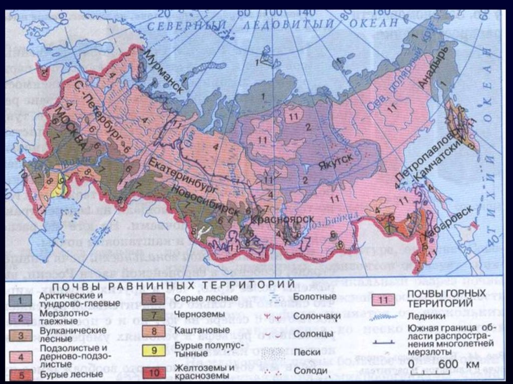 Почвы по регионам. Подзолистые почвы на карте России. Распространение дерново-подзолистых почв. Дерново-подзолистые почвы на карте России. Почвенная карта подзолистых почв.