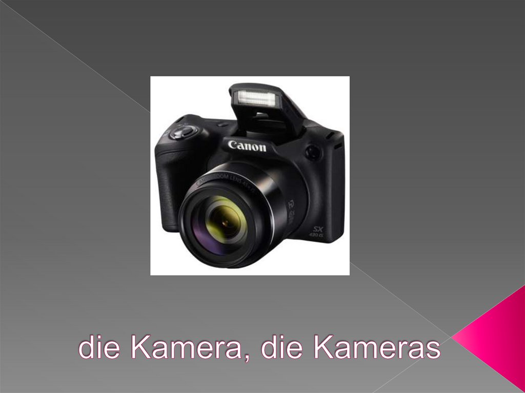 die Kamera, die Kameras