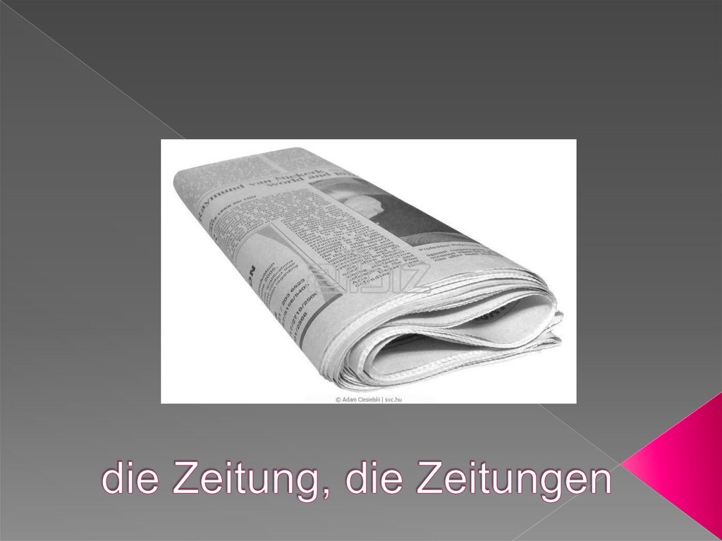 die Zeitung, die Zeitungen