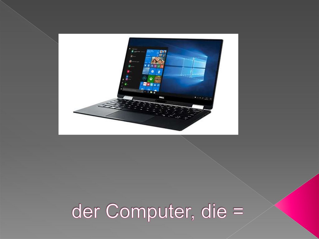 der Computer, die =