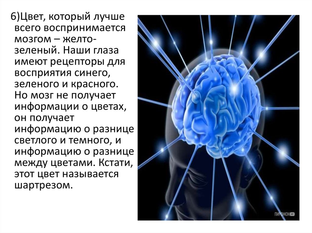 Мозг воспринимает. Как мозг воспринимает цвета. Не не воспринимается мозгом. Как наш мозг воспринимает звуки. Как наш мозг воспринимает звуки презентация.