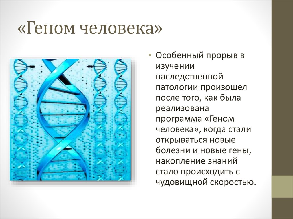 Геном человека таблица