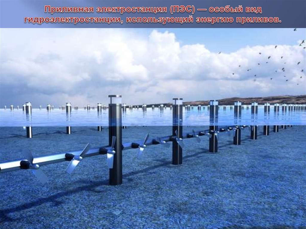 Приливная электростанция (ПЭС) — особый вид гидроэлектростанции, использующий энергию приливов.