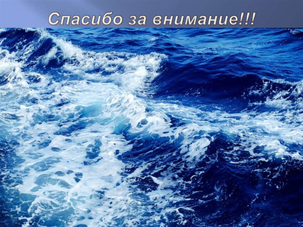 Спасибо за внимание!!!