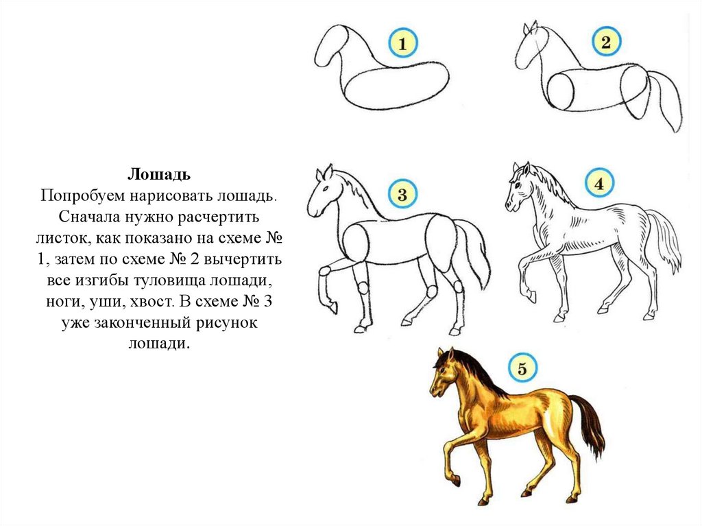 Рисуем лошадь поэтапно. Нарисовать лошадь поэтапно. Рисуем коня поэтапно для детей. Лошадь поэтапно для детей. Поэтапное рисование лошади для детей.